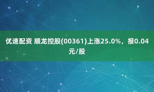 优速配资 顺龙控股(00361)上涨25.0%，报0.04元/股