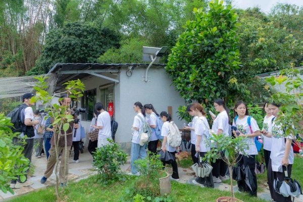 金惠配资 思路打开！惠州大学生化身“美丽庭院”设计者，用创意点亮乡村振兴新图景