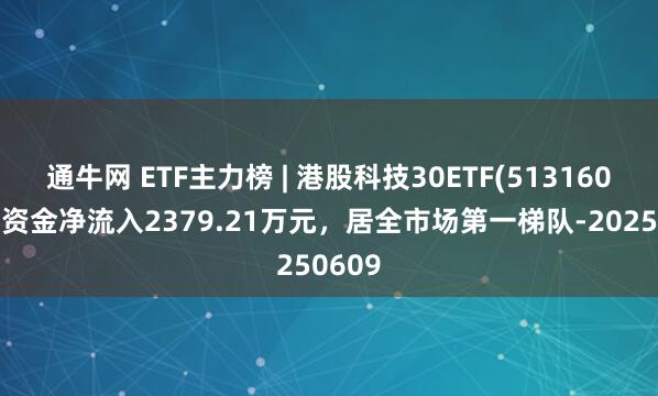 通牛网 ETF主力榜 | 港股科技30ETF(513160)主力资金净流入2379.21万元，居全市场第一梯队-20250609