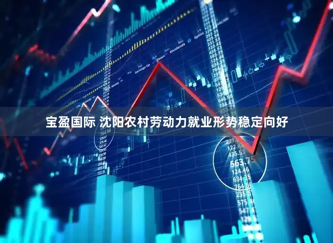 宝盈国际 沈阳农村劳动力就业形势稳定向好